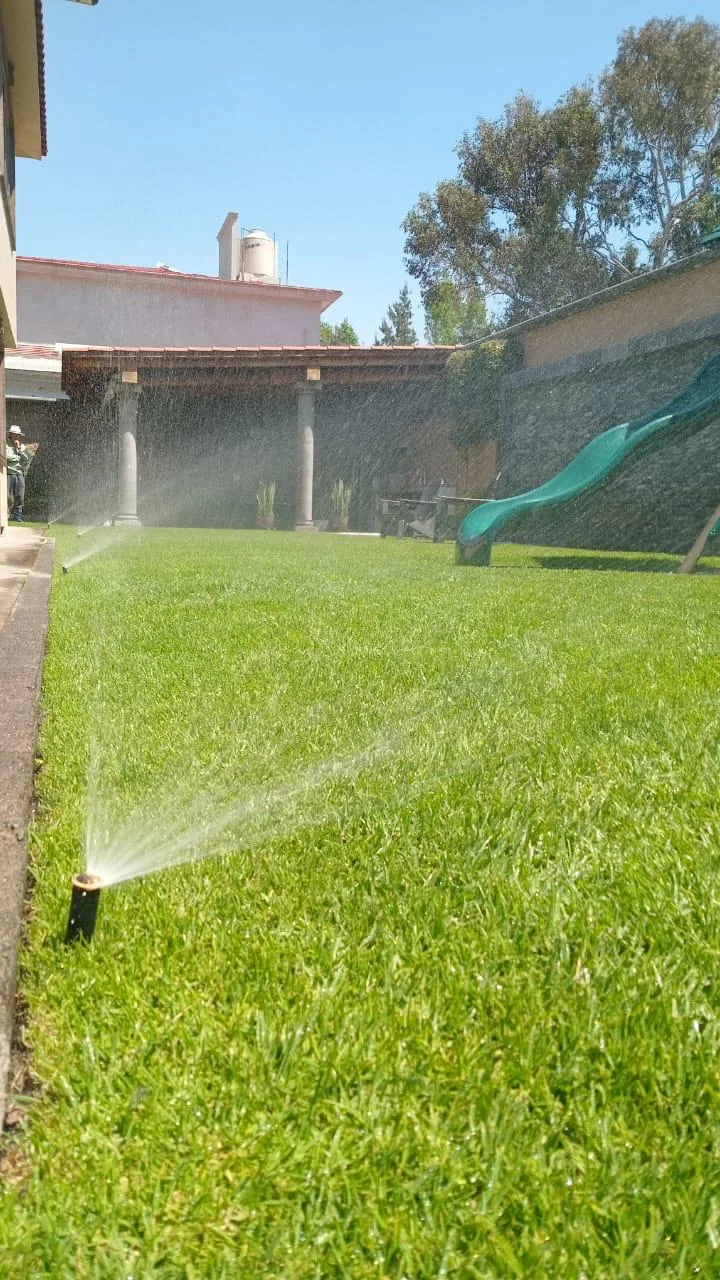 Proyecto de jardín con sistema automatizado