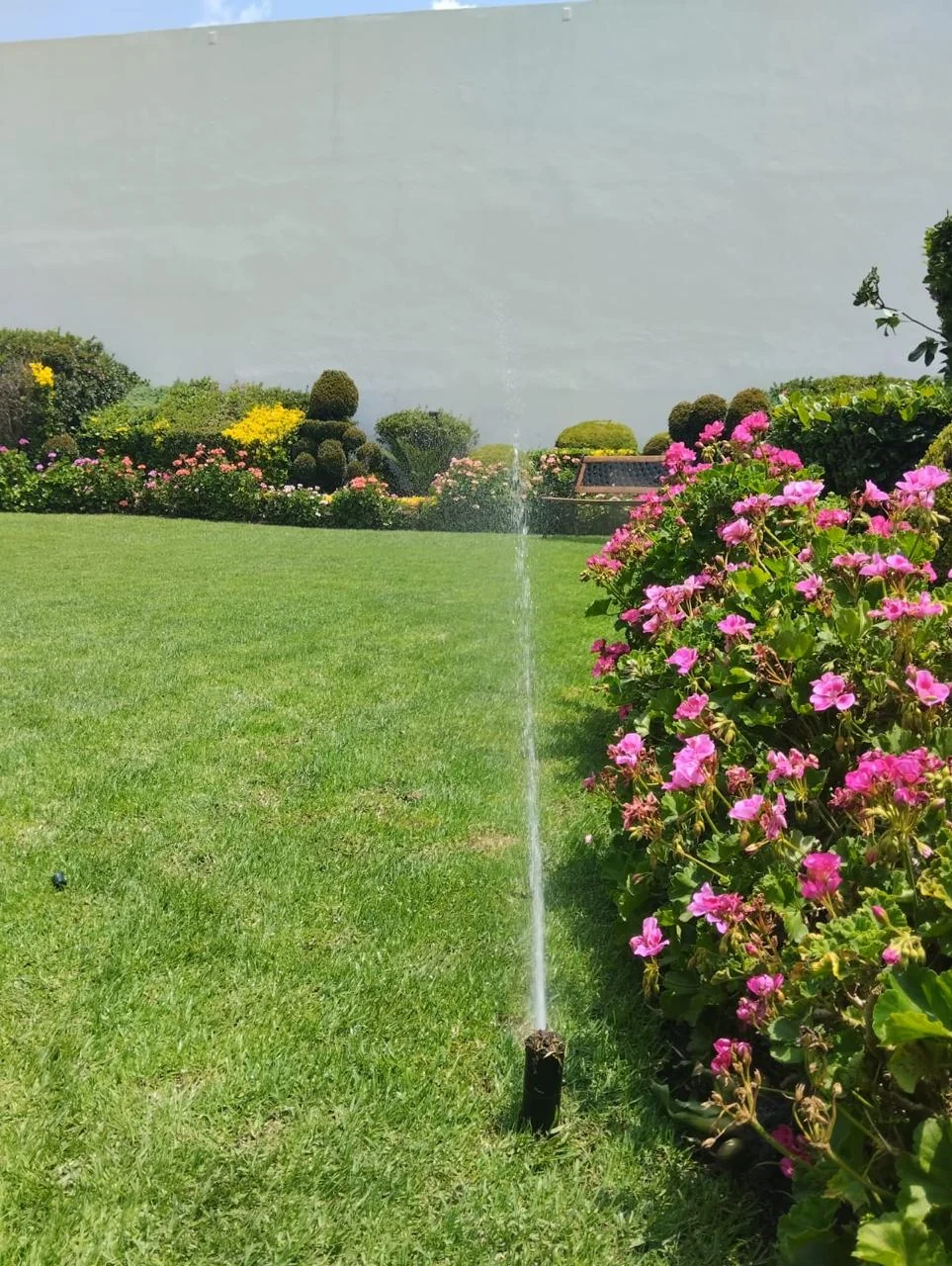Jardín con sistema de riego diseñado