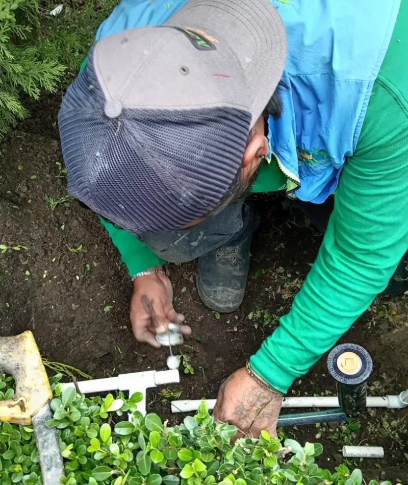 instalacion1 (31) instalacion1 (31)