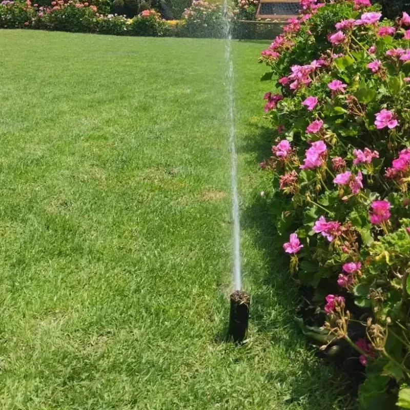 instalacion1 (55) instalacion1 (55)