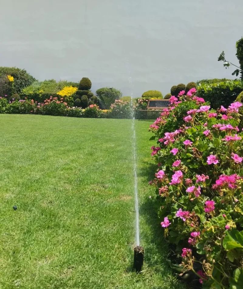 instalacion1 (55) instalacion1 (55)